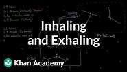 Inhaling and exhaling | Respiratory system physiology | NCLEX-RN | Khan Academy