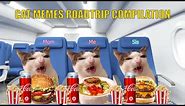 CAT MEMES Roadtrip Compilation