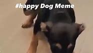 Happy Dog Meme | #meme #funny #dog #heartdog #bestfriend #dog #doglovers #highlights #bhfyp #fbreels23 #fbreelsvideo#fbreels #fbreelsfypシ゚viral #viral #reels2024 #FBPage #reelsfbviral #OMG#followmeplease #LiezelAllison #Liezel Allison USA | Liezel Allison