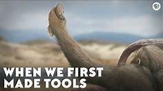 When We First Made Tools