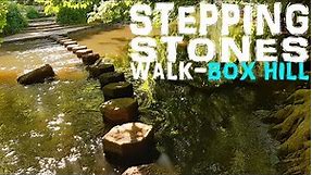 STEPPING STONES Walk - Box Hill - Surrey - England (4k)