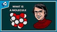 What Is a Molecule?