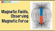 Magnetic Fields – Observing Magnetic Force