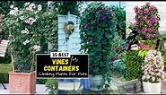 35 Best Vines for Containers | Climbing Plants for Pots
