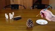 Festive DIY Pine Cone Holiday Place Cards | Zillow