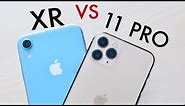 iPhone 11 Pro Vs iPhone XR CAMERA TEST! (Photo Comparison)