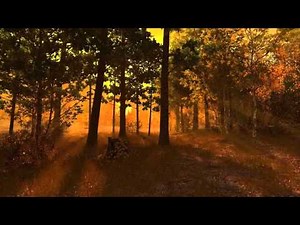 Autumn Forest 3D Screensaver Trailer