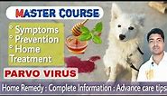 Master course : Parvo virus in dogs || Homemade treatment.