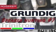 Speaker hunting video #7 | 80s Schneider , 2 Grundig , Sony trinitron and Philips Blackline crt