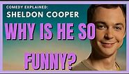 Comedy Style of Sheldon Cooper Explained (the Big Bang Theory) - Absurdist Humour with Examples