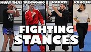 How Different Martial Arts Styles FIGHTING STANCE