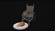 Cat falls off wheelchair and gets back up