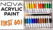 NOVA Acrylic Paint Review // First go with acrylics on canvas, glass and stones!