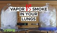 Vaping vs Smoking In Your Lungs - Shocking !