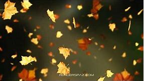 Fall Leaves Animated Wallpaper