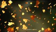 Fall Leaves Animated Wallpaper
