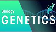 Genetics & Cell Division Keyword Definitions | Genetics | Biology | FuseSchool