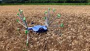 robot crop inspector 'SentiV' wheels itself into the fields to detect harvest threats