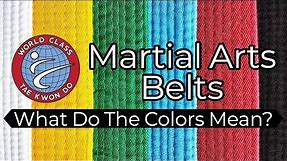 The Meaning of the TKD Belt Colors