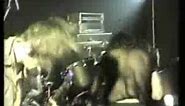 Black Flag - Nervous Breakdown (Live at the Bierkeller in Bradford, UK, 1984)