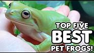 Top Five Best Pet Frogs!