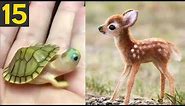 Top 15 Most CUTE Baby Animals