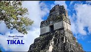 Tikal - A Maya Site in Guatemala