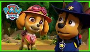 Chase and Skye Rescue Missions and MORE - PAW Patrol - Cartoons for Kids