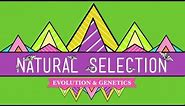 Natural Selection - Crash Course Biology #14