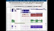 Exon-only display in the UCSC Genome Browser