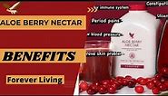 Aloe Berry Nectar Benefits||By NAJMA DURRANI||FLP Berry Nectar Uses