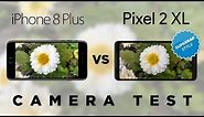 Google Pixel 2 XL vs iPhone 8 Plus Camera Test Comparison