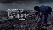 Invisible workers: Underpaid, exploited and put at risk on Europe’s farms