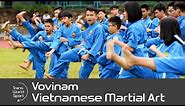 Vovinam | Vietnamese Martial Art | Trans World Sport