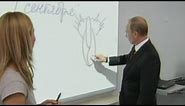 Putin draws the backside of a cat on a school whiteboard: Vladimir Putin - the artist?