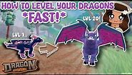 HOW TO LEVEL YOUR DRAGONS *FAST!* (Dragon Adventures,Roblox!)