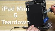 iPad Mini 5 Teardown!