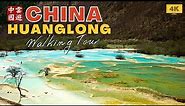 Walking Tour of Huanglong the Yellow Dragon Scenic Area in Sichuan, China
