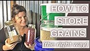 How to Store Whole Grains, Beans, Corn, Rice | Prepper Pantry with Grains | Long Term Storage