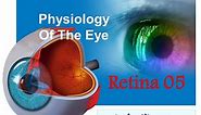 01 Retina part-5 Dr. Elkafrawy Physiology (Bipolar & Horizontal & Amacrine cells)