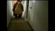 Bear running in hallway meme