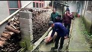 Pig Slaughter - Video of killing pigs in rural areas, the scene is very shocking