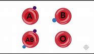 Making Universal Donor Blood From Other Blood Types | Headline Science