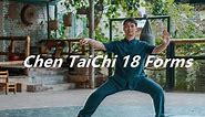 Chen Style TaiChi 18 Forms Demonstration