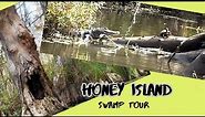 Dr. Wagner’s Honey Island Swamp Tour