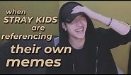 stray kids memes guide (by stray kids)