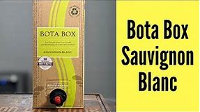 Bota Box Sauvignon Blanc Wine Review