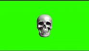 Rotating Skull #1 / Green Screen - Chroma Key