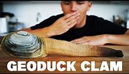 Eating A Geoduck Clam
