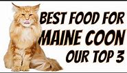 Our Top 3 Best Food for Maine Coon Cats | Honest reviews